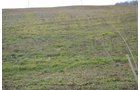 Property photo 44 - 98+/- Acres Offered in 6 Tracts or Combinations, Noble County, Indiana Farm